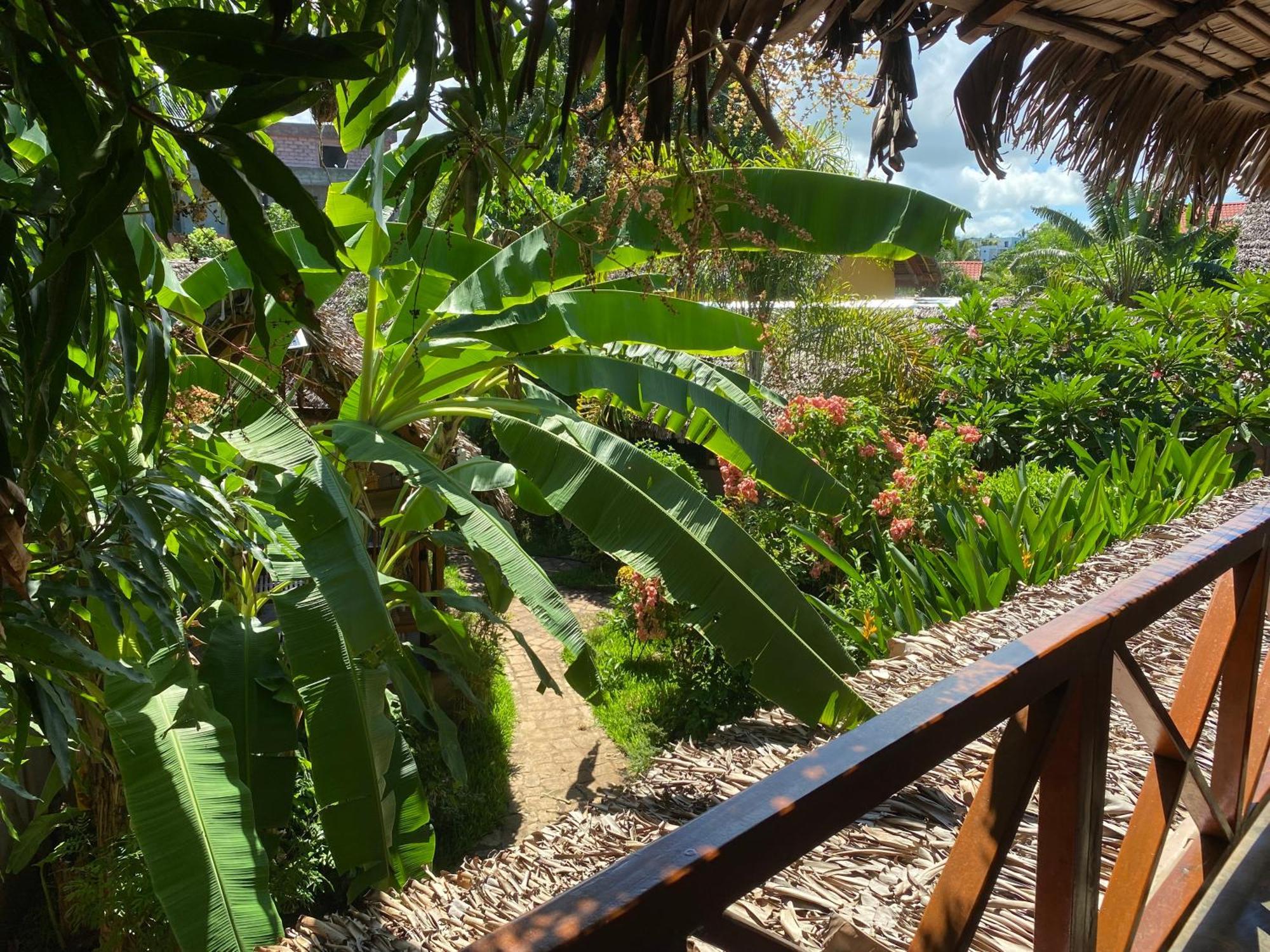La Perle Rare De Nosy Be Hotel Ambatoloaka  Eksteriør billede