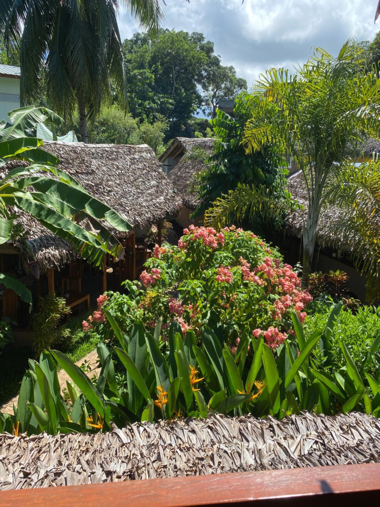 La Perle Rare De Nosy Be Hotel Ambatoloaka  Eksteriør billede
