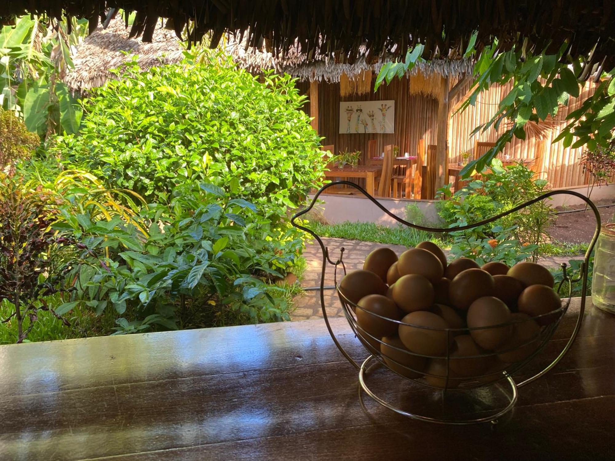 La Perle Rare De Nosy Be Hotel Ambatoloaka  Eksteriør billede