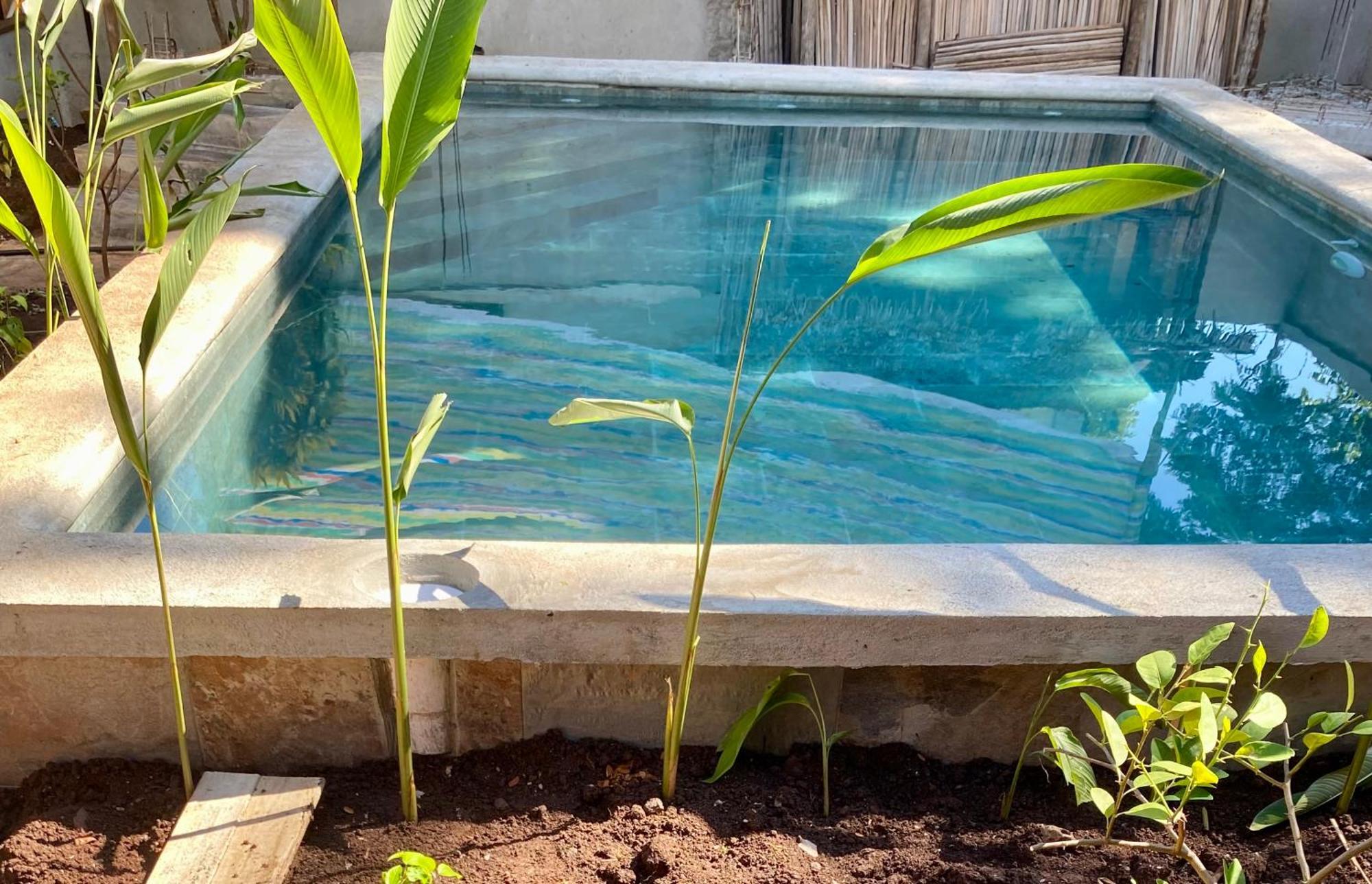 La Perle Rare De Nosy Be Hotel Ambatoloaka  Eksteriør billede